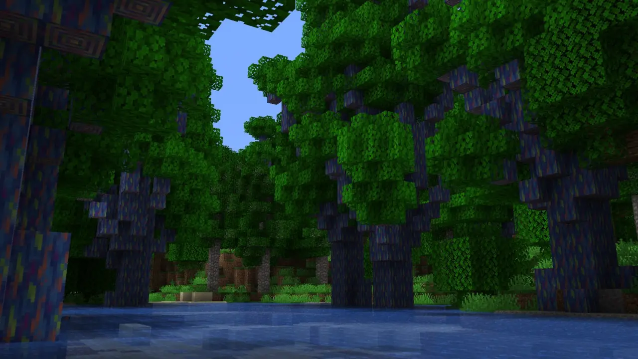 A dark rainforest of tall trees over a river