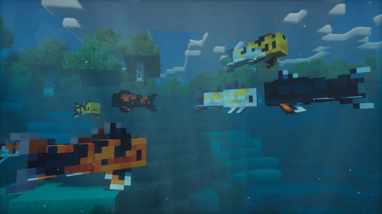 Koi and other fish swimming underwater