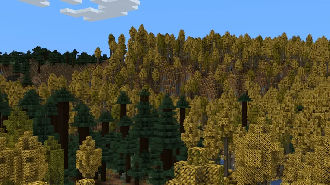 A forest of golden aspens
