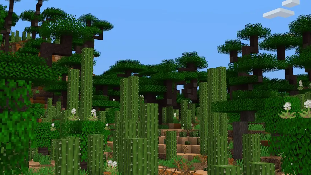 Tall cacti among broad trees on a hillside