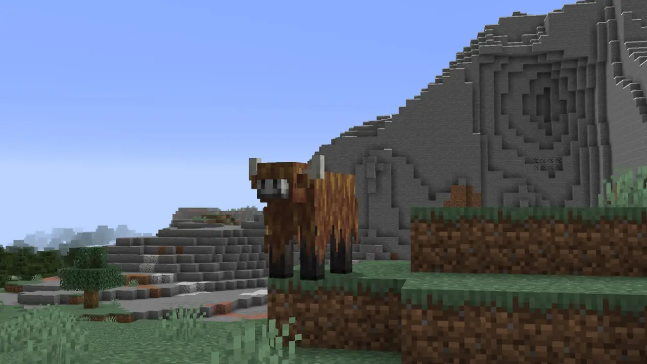 A yak on a grassy hillside