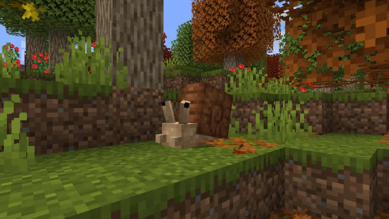 A snail on an autumn forest floor